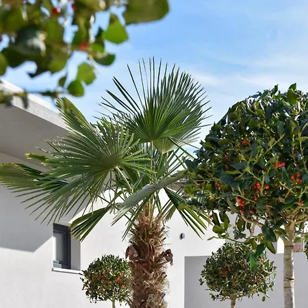Luxurious In Split